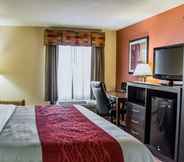 Bilik Tidur 4 Quality Inn Raleigh Downtown