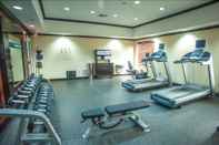 Fitness Center Hampton Inn & Suites Palestine