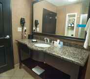 In-room Bathroom 7 Hampton Inn & Suites Palestine