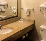 In-room Bathroom 7 Comfort Inn & Suites Harrisonville