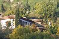 Exterior Terrace Houses Sirince - Fig, Olive Clockmakers and Grapevine