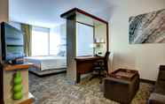 Phòng ngủ 4 SpringHill Suites by Marriott Harrisburg Hershey