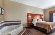 Bedroom 6 Comfort Inn & Suites Carbondale University Area