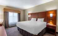 Bedroom 7 Comfort Inn & Suites Carbondale University Area
