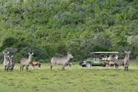 Ruang Umum Shamwari Riverdene