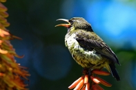 Kemudahan Hiburan Shamwari Riverdene