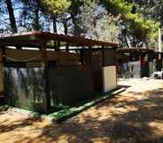 Exterior 2 Camping Fico d'India