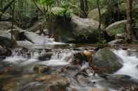 Swimming Pool Daintree Cascades