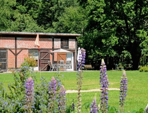 Exterior 4 Domaine de la Mésange