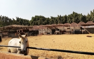 Nearby View and Attractions 6 Equestrian lodge - Pyramids Egypt