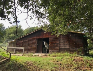 Exterior 2 Chambre d'hôtes du Moulin de la Passere