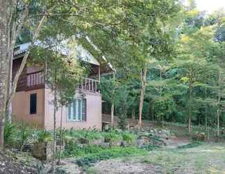 ภายนอกอาคาร 2 Farmstay at Pha Ma Chiangrai