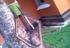 Others 7 City Park Hotel