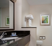 In-room Bathroom 3 Fairfield Inn & Suites by Marriott Flint Grand Blanc