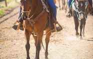 Tempat Tarikan Berdekatan 6 Pine Ridge Dude Ranch