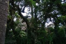 공용 공간 Forest Pine Inn