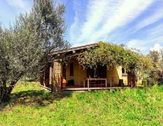 Exterior 2 Agriturismo Casa Caponetti