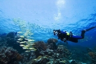 Pusat Kecergasan Shark paradise-Adults Only