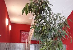 기타 2 Ricks City Hotel 2