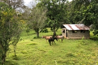 Bangunan Casa Piedra