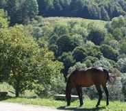 Nearby View and Attractions 4 La Costa de Mollo