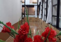 Khác 2 Hostel Wizaya for backpacker