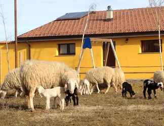 Exterior 2 Agriturismo Azienda Agricola Miranti