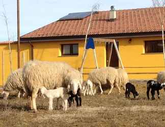 Exterior 2 Agriturismo Azienda Agricola Miranti