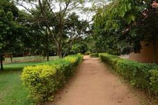 公共空間 Nature's Green Beach Resort