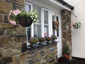 Exterior 4 Snowdonia Snug