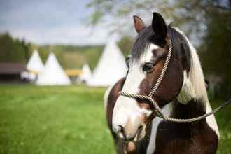 ภายนอกอาคาร 4 Rhön-Indianer-Hotel