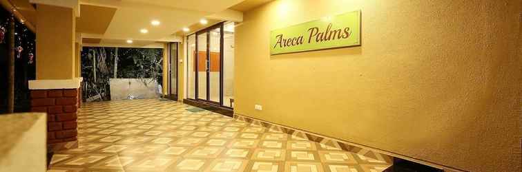 Lobby Areca Palms
