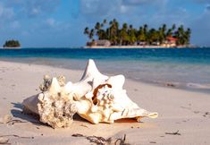 Others 2 Explora San Blas
