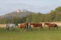 Fitness Center Land- und Aktivhotel Altmühlaue