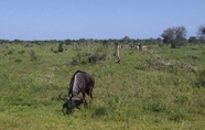 Nearby View and Attractions 6 Andova Tented Camp