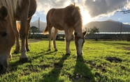 Ruang Umum 5 La Tenuta del Campo di Sopra