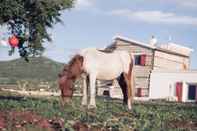 ภายนอกอาคาร Masseria Piana della Macina