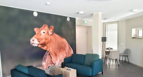 大廳 2 Péitche Lauer