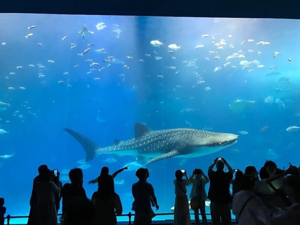 Trung tâm thể thao Winbell Okinawa Nago Coral View