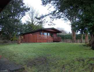 Bangunan 2 Birch Lodge 23 With Hot Tub, Newton Stewart