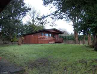 Exterior 2 Birch Lodge 23 With Hot Tub, Newton Stewart