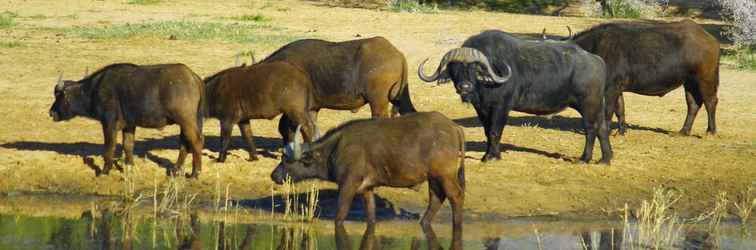 Lobi Kuganha Tented Camp