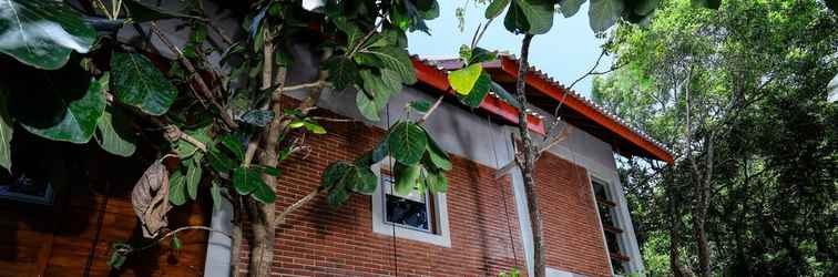 Exterior Treehouse Chalets