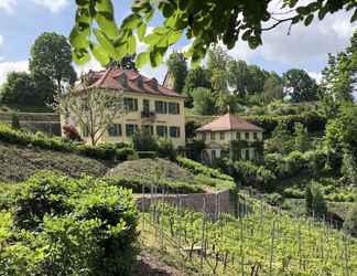 Exterior 2 Rebenhaus Meißen