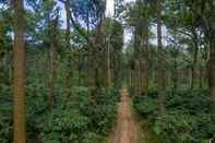 พื้นที่สาธารณะ Ama Plantation Trails , Chikmagalur