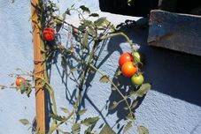 健身中心 Casa Encuentro - Hostel