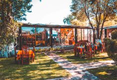 Common Space 2 Vicalis