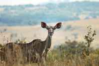 Exterior B'sorah Luxury Tented Camp