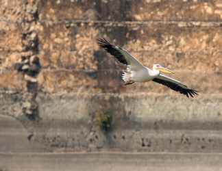 ล็อบบี้ 2 RAAS Chhatrasagar