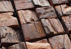 Exterior 3 Villa di Paolo